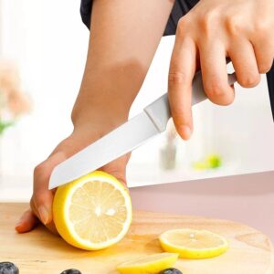 10 pcs paring knife set/Color Mix kitchen/camping/fish knife - Image 5